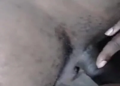 Black Cock