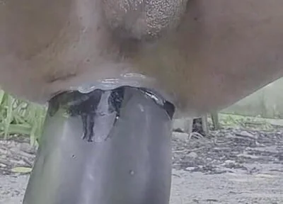 Extreme Pleasure