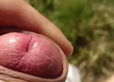 Risky Forest Wank