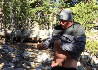 Cumpilation: the Early Years of Westcub86