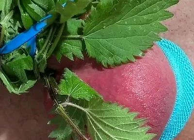 Cum with Nettles Inside Dick