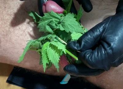 Cum with Nettles Inside Dick