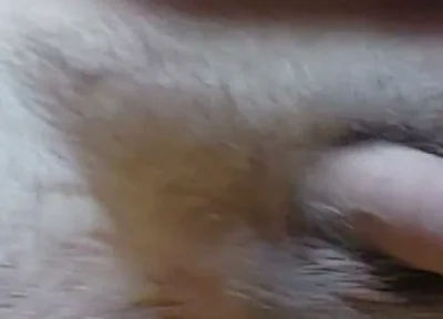 I'm Waving My Cock for You