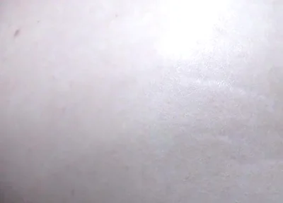 Stepdaddy Fucks Leo Fox