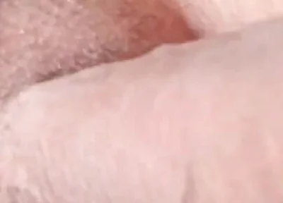 Foreskin up and Down POV