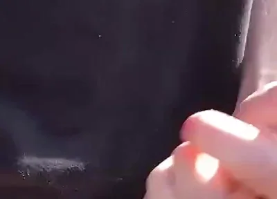 The Sunshine