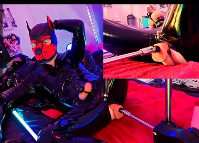 Nicolaus Rubber Show with Pet Mask