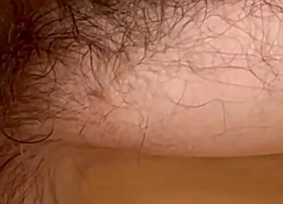 Just Wanted to Let Give You a Closer Look at My Very Hairy Armpits That’s It