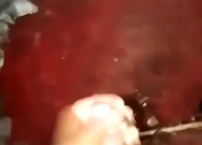 867486332044197888.mp4