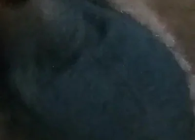 Who Wants My Dick?