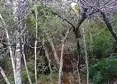 I Went to the Waterfall and Showed off Before Someone Came and Caught Me.