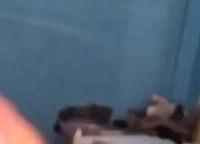 Haydenbbc Video