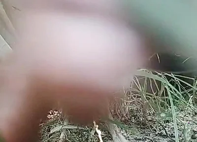 The Village Boy Went to the Cornfield and Hit Him Hard