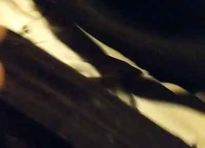 Solo in My Car