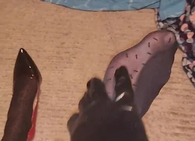 Teasing My Pattern Black Pantyhose