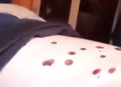 Bored Sub