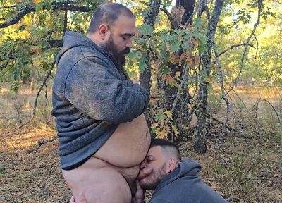 Fat Bears Suck Each Other's Cocks in the Forest