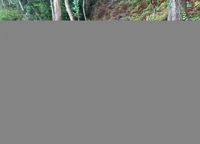 Over 1 Hour of Gay Sex Compilation