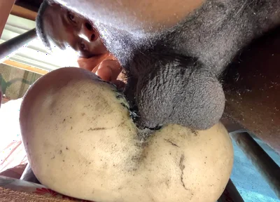 Amateur Big Ass Is Too Tight Make Me Cum Fast That I Did Not Expect