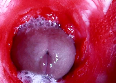 Hot Wet Sexy Hole and Sloppy Big Cock