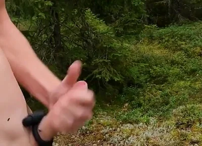 Me Against the Flies