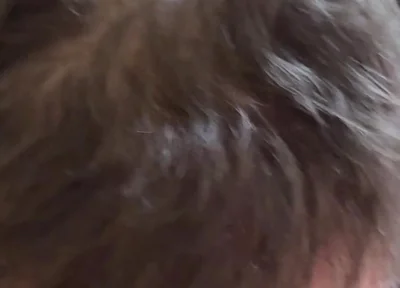 Sucking Asian Bear's Cock
