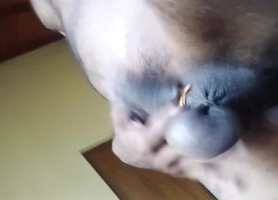Uncut Cock an Balls Pressure Ring Swing
