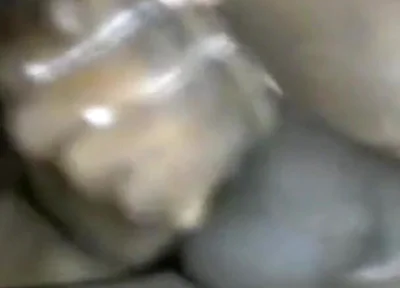 Stroking My BBC Fingering My Arsehole Cumming Hard