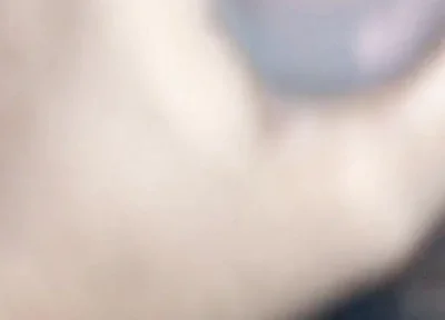 Desi Solo