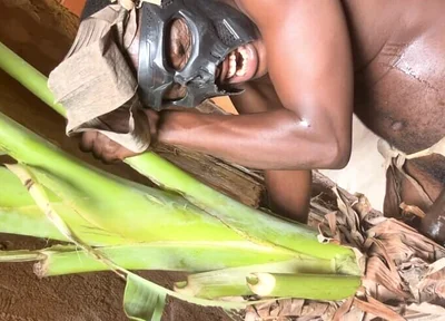 African Jujujar Bangcum