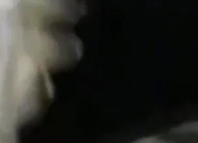 Closeup Stroking My Big Black Cock