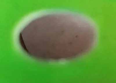 You Can See My Ass Through the Holes in the Green Screen