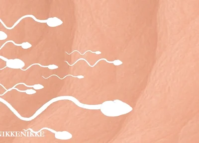 Yaoi: Spermtazoid Game: Level up in Her Stuffed Little Ass