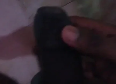 Tamil10inches BBC Hot Session