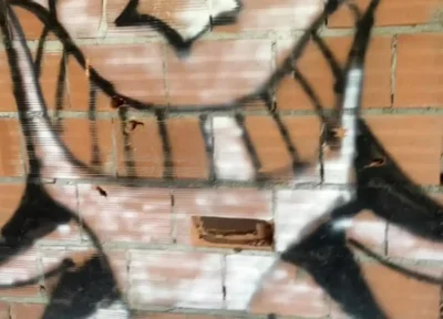 Amateur Boy Caught Bare Ass in Abandoned Building