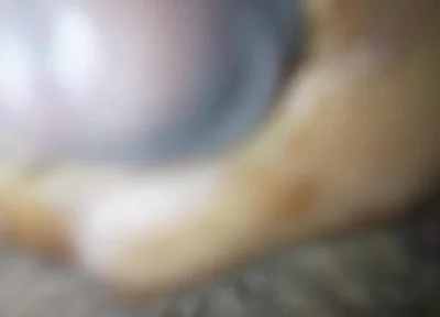 New Video
