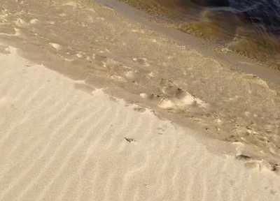 Beach Walk