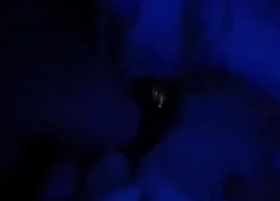 Blue Romance, Blowjob From a Sensual Blonde