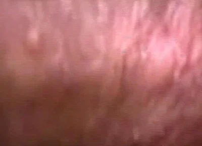 Latin Cocks Scene-3_muscular, Horny Latino Gays Want Their Asses Filled