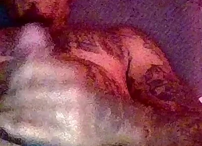 Shaft Stroke