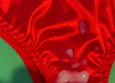 Cum on Wife’s Panties 15