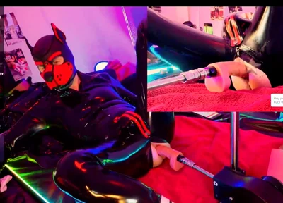 Doggy Rubber Show