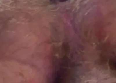 Showing off My Ass Hole