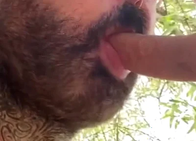 Forest of Perverts 1
