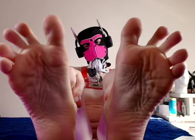 Paws Right in Your Face
