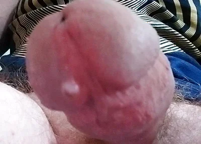 Let Cock Be Your Guide