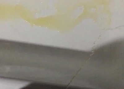 Peeing in the Bathtub