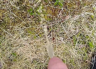 Pissing up in the Mountains
