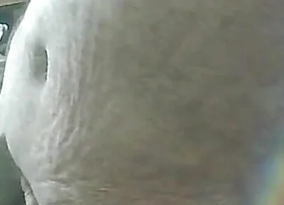 Cumshot & Jerking off