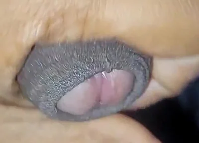 Desi Vergin Teen Gay Boy Jerking Himself